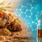 Rohes Propolis und ein Laborextrakt in einer Petrischale – Darstellung der wissenschaftlichen Erforschung von Bienenharz als Naturstoff.